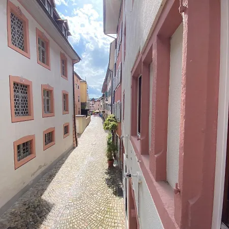 Neues Design-Apartment, Altstadt, Business&Ferien, Kueche, Netflix Bad Säckingen Exterior foto