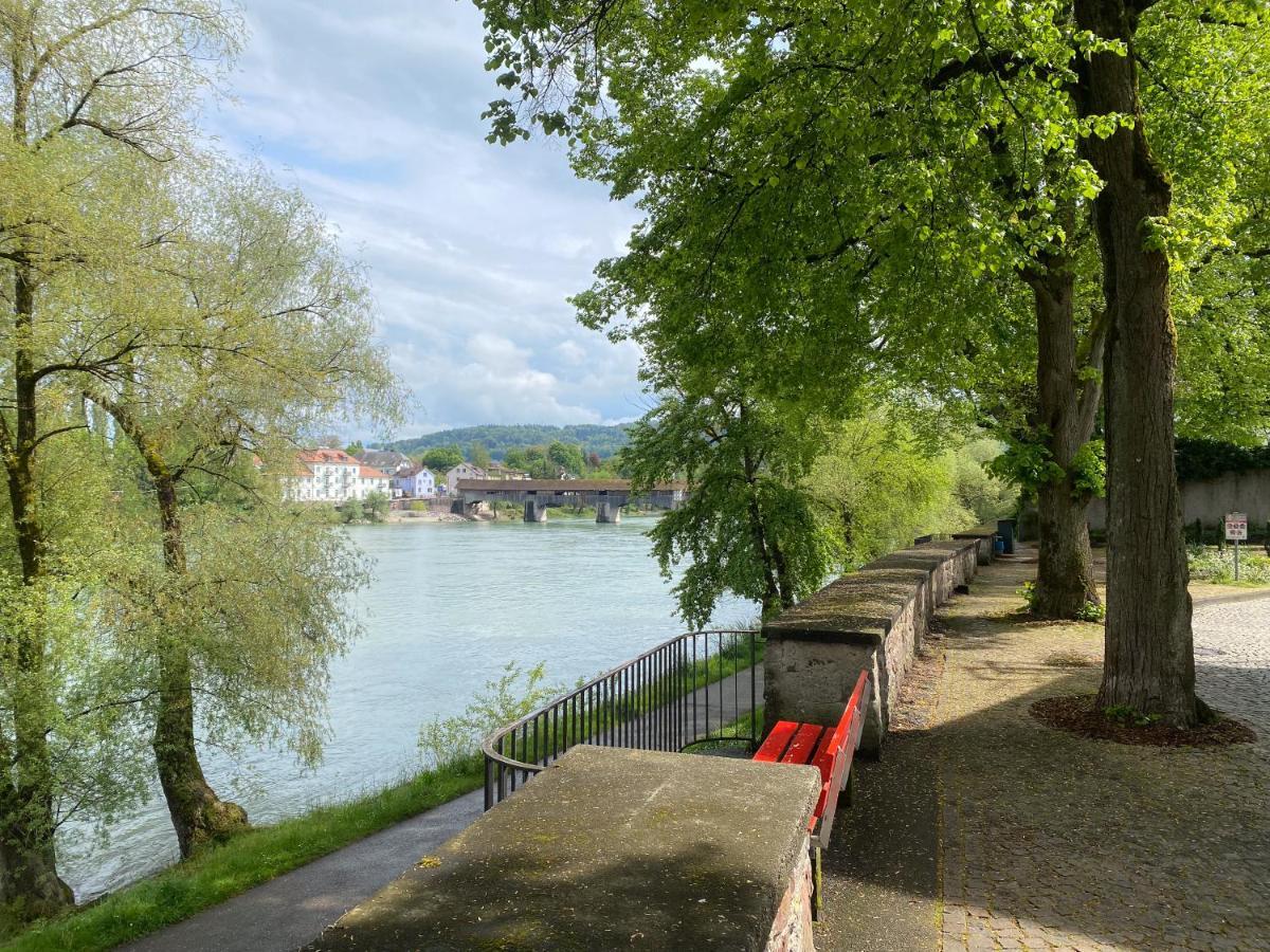 Neues Design-apartment, Altstadt, Business&ferien, Kueche, Netflix Bad Sackingen